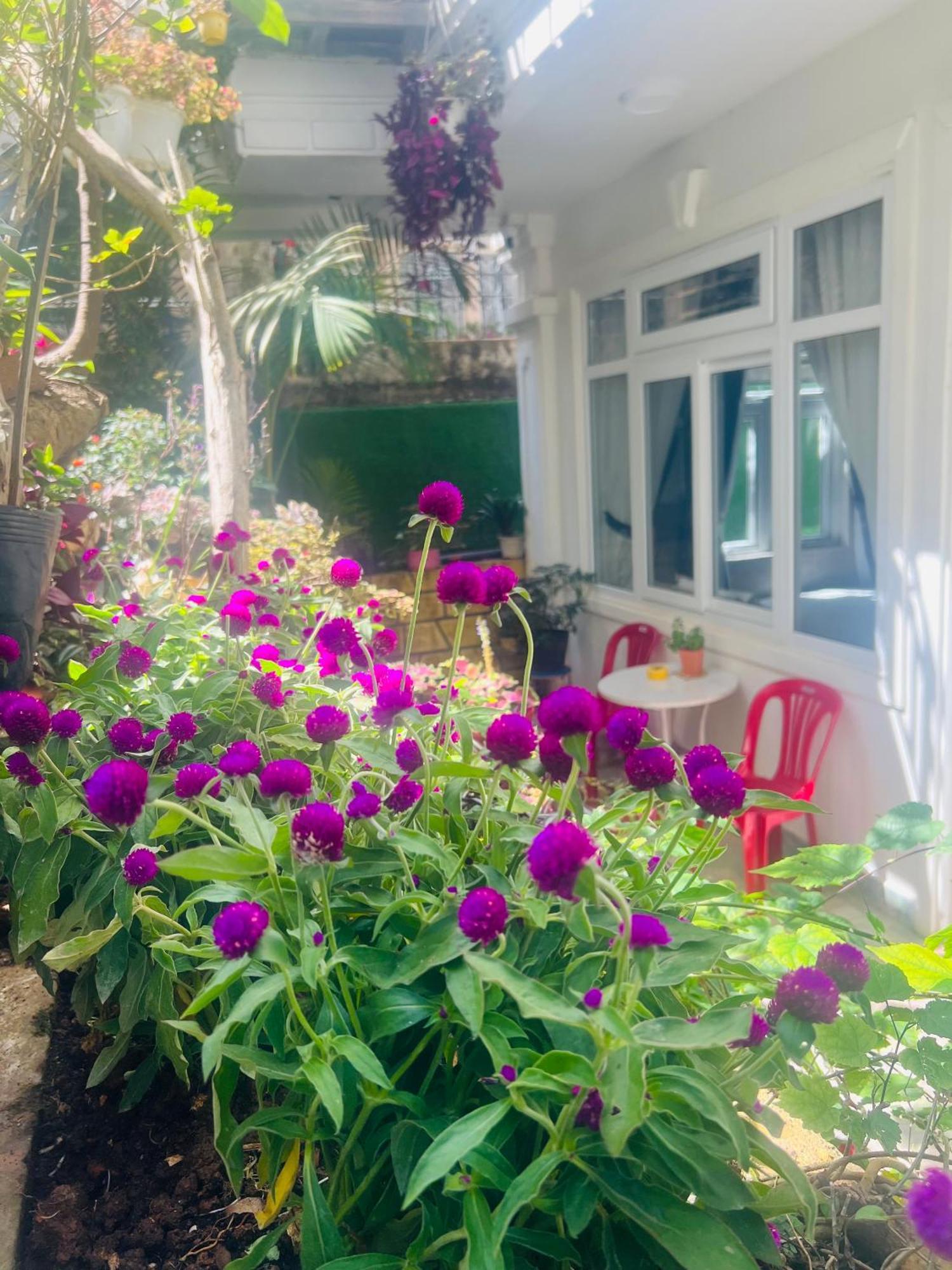 Villa - Hotel Nam Khang 2 Dalat Eksteriør billede