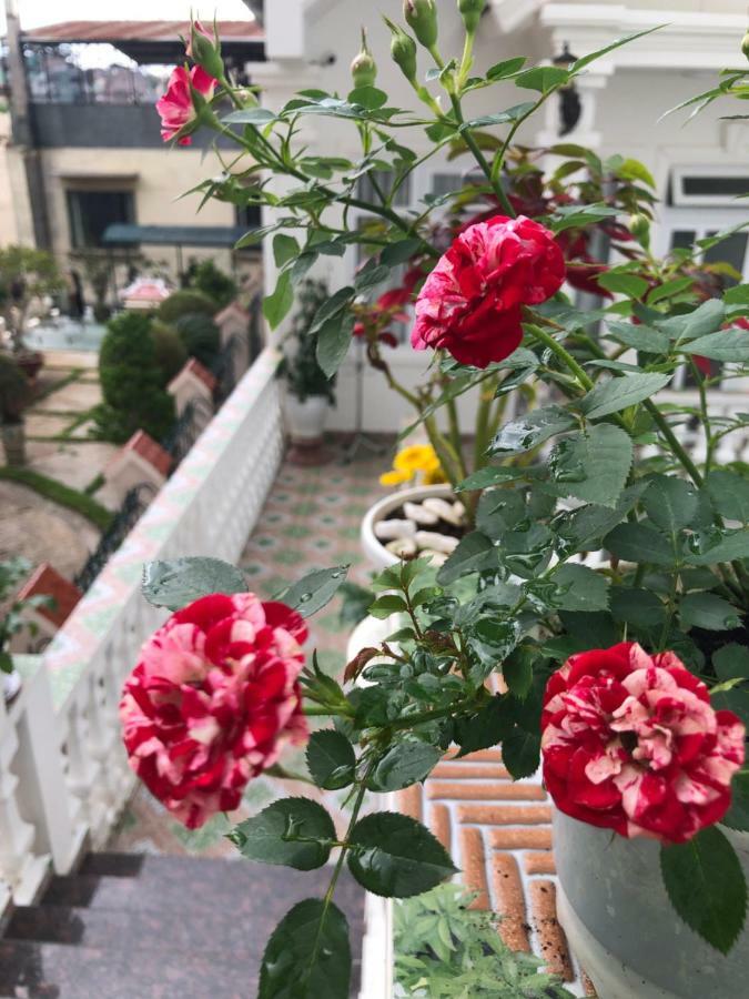 Villa - Hotel Nam Khang 2 Dalat Eksteriør billede