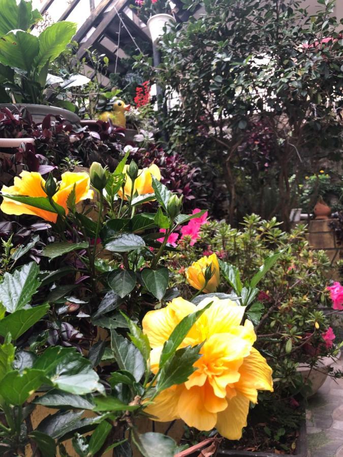 Villa - Hotel Nam Khang 2 Dalat Eksteriør billede