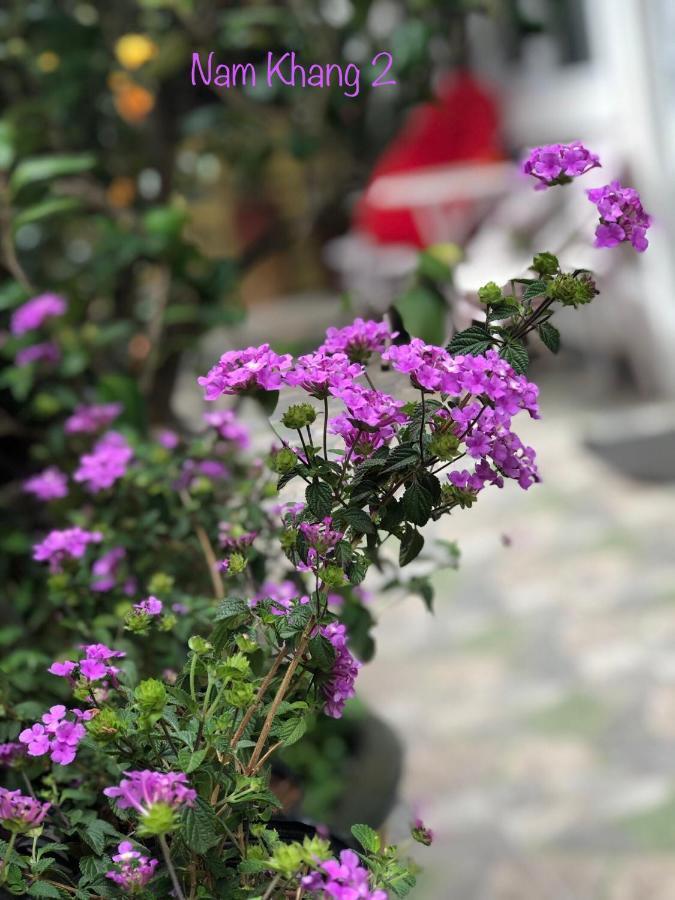 Villa - Hotel Nam Khang 2 Dalat Eksteriør billede